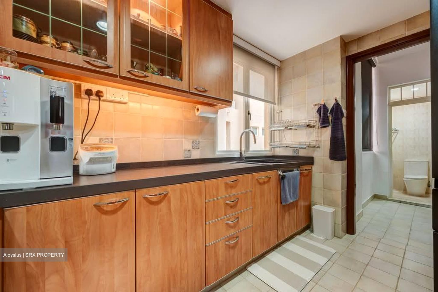 Seletar Springs Condominium (D28), Condominium #585049681